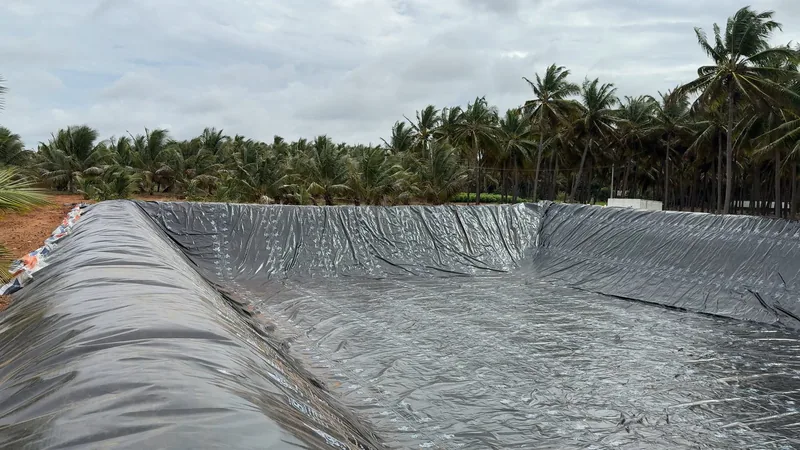 A brick-yard owner beside his stock, covered with a blue HDPE tarpaulin